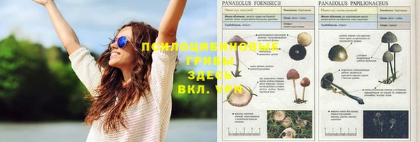 кокаин колумбия Аркадак