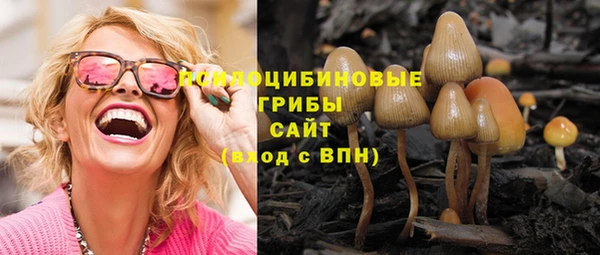 метадон Армянск
